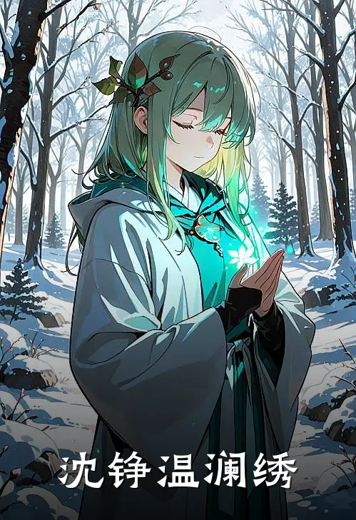 沈铮温澜绣