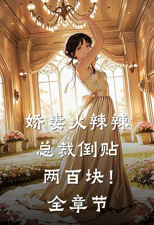 娇妻火辣辣，总裁倒贴两百块！全章节