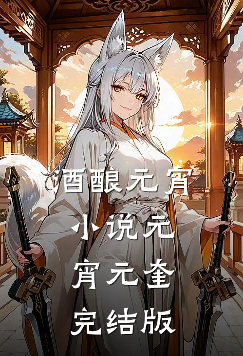 酒酿元宵小说元宵元奎完结版