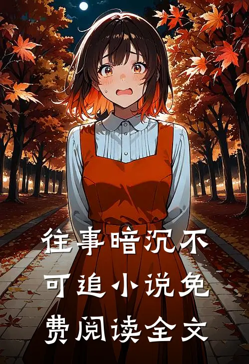 往事暗沉不可追小说免费阅读全文