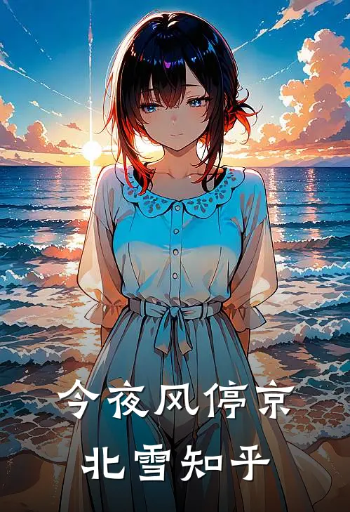 今夜风停京北雪知乎
