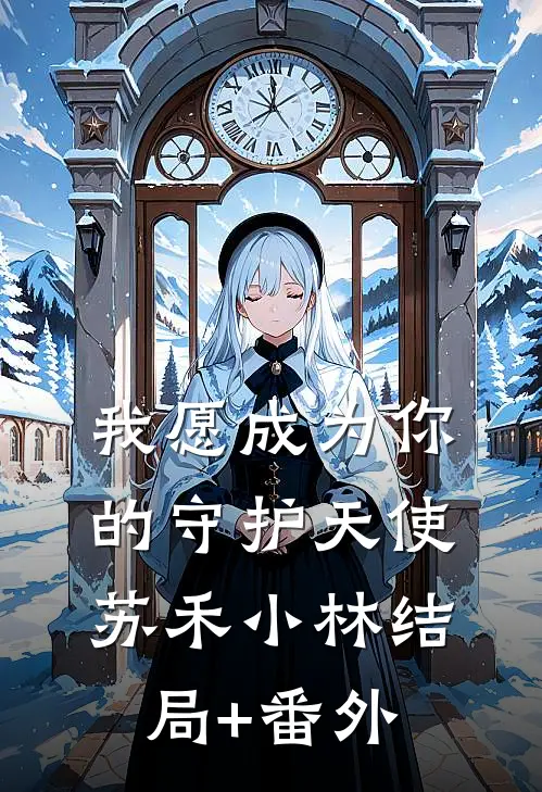 我愿成为你的守护天使苏禾小林结局+番外