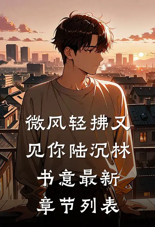 微风轻拂又见你陆沉林书意最新章节列表